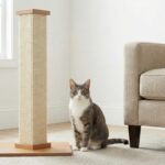 Scratching post placed beside a couch to help stop a cat from scratching furniture.